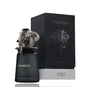 Thunder Extrait de French Avenue