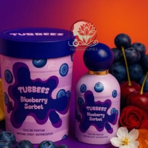 Tubbees Blueberry Sorbet