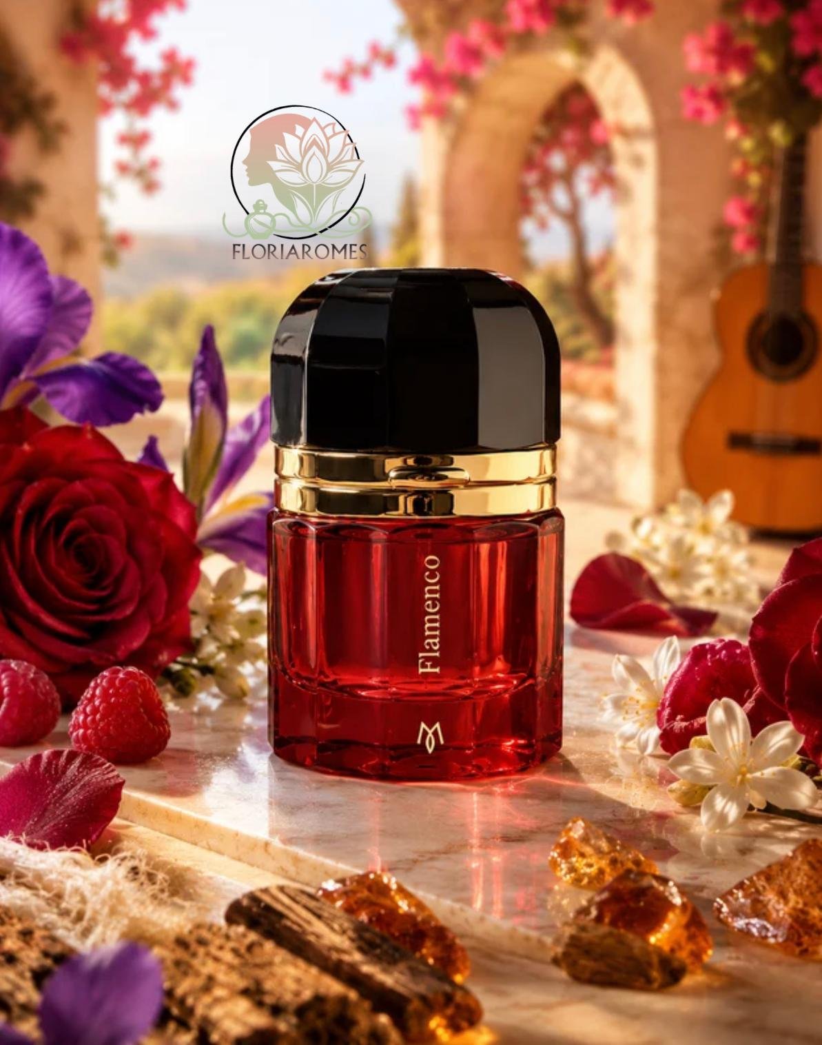 Flamenco de Ramon Monegal